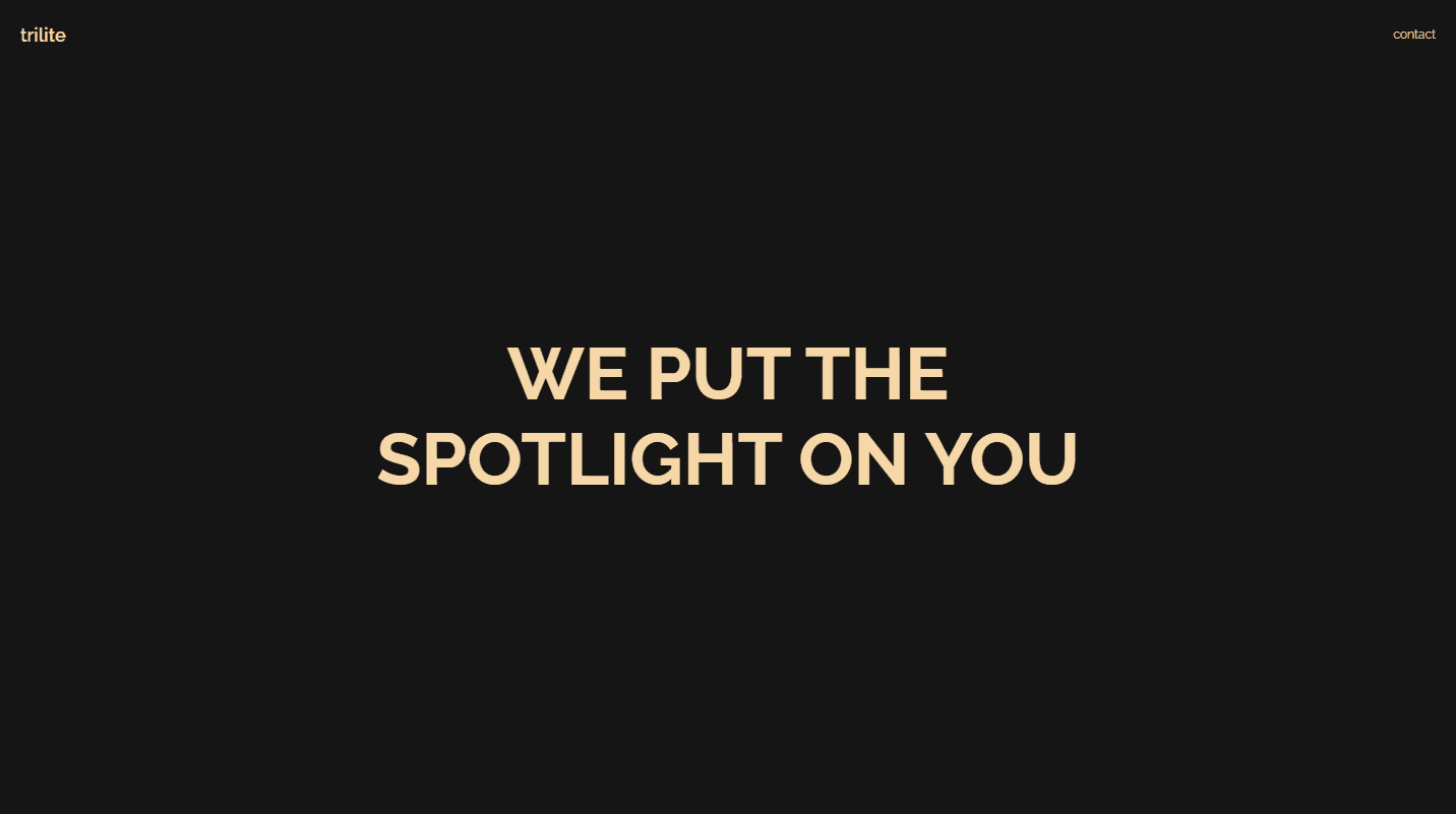 Trilite - Digital Marketing Agency